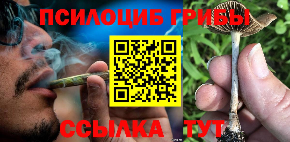 Псилоцибиновые грибы прущие грибы Люберцы